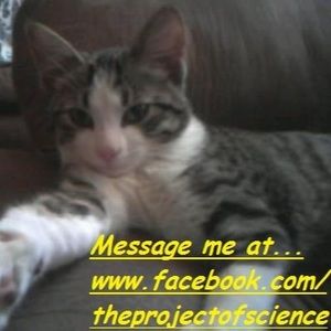 Meet your Posher, J.r.